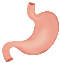 關(guān)注職場“腸”態(tài)，守護員工健康——上海格瑞特特邀消化內(nèi)科專家公益系列講座（4）(圖9)