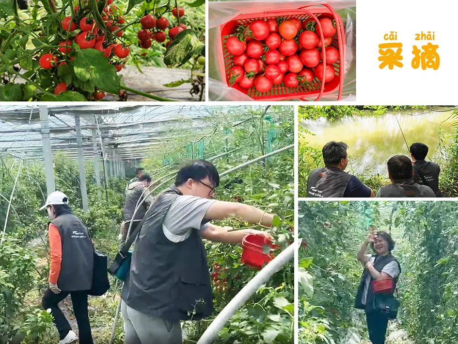 上海格瑞特夏日?qǐng)F(tuán)建活動(dòng)圓滿(mǎn)舉行(圖4)